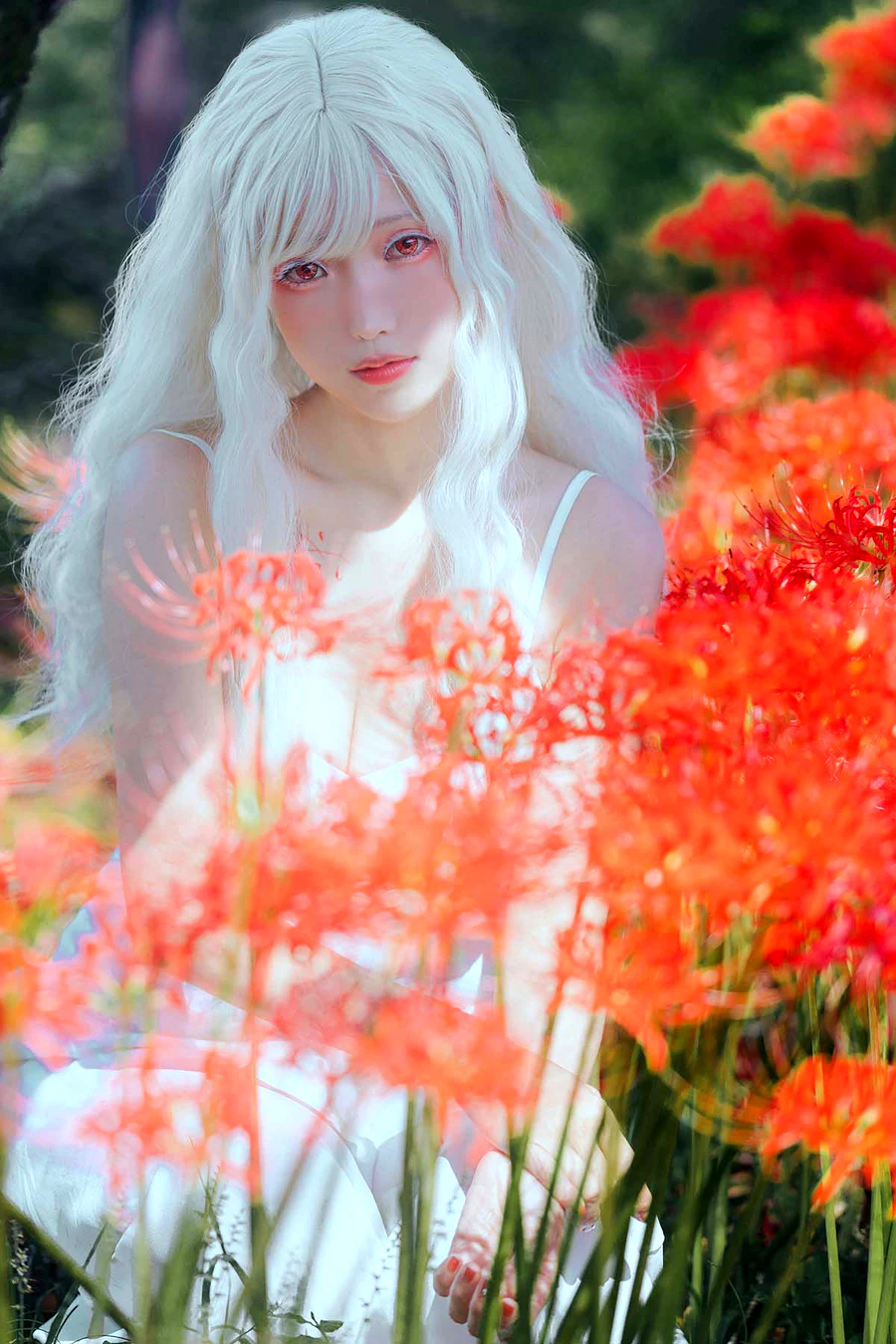 Ely_eee(ElyEE子) – White spider lily 白瓷彼岸 cosplay-第1张