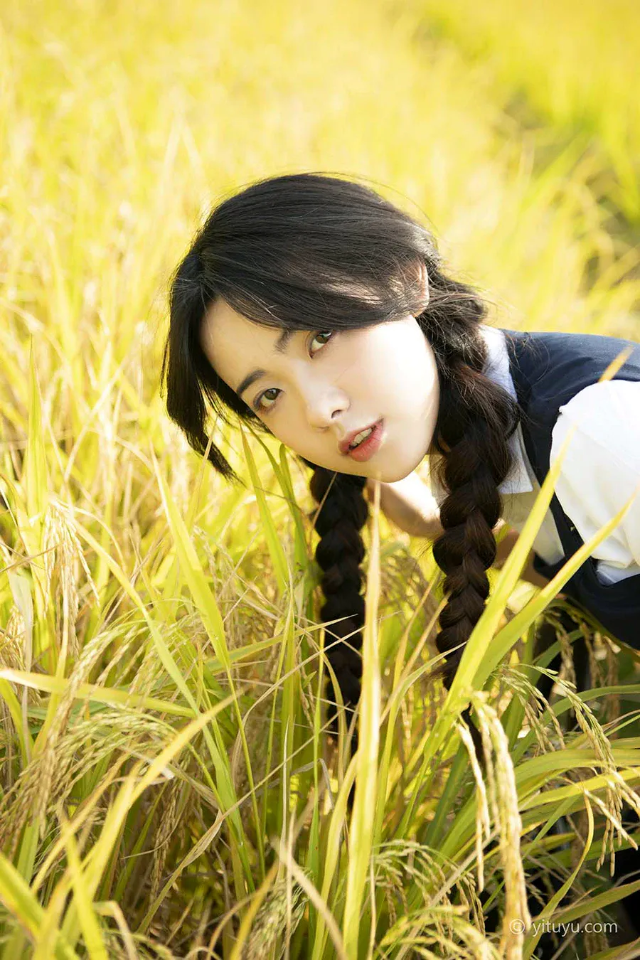 [YITUYU艺图语]2021.03.12 秋日的稻香 黄子卿 YITUYU艺图语-第1张