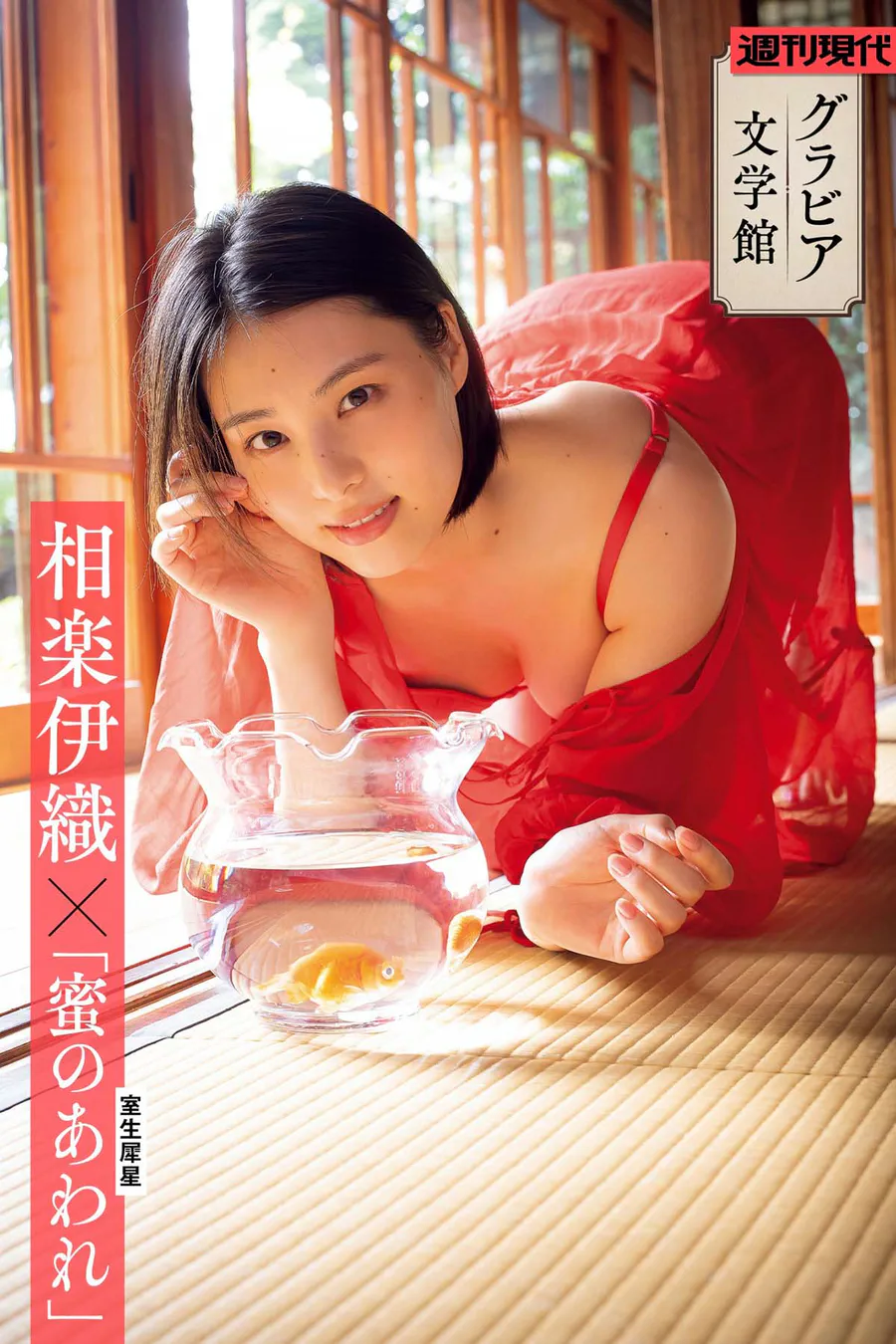 相楽伊織×室生犀星「蜜のあわれ」 Photobook-第1张