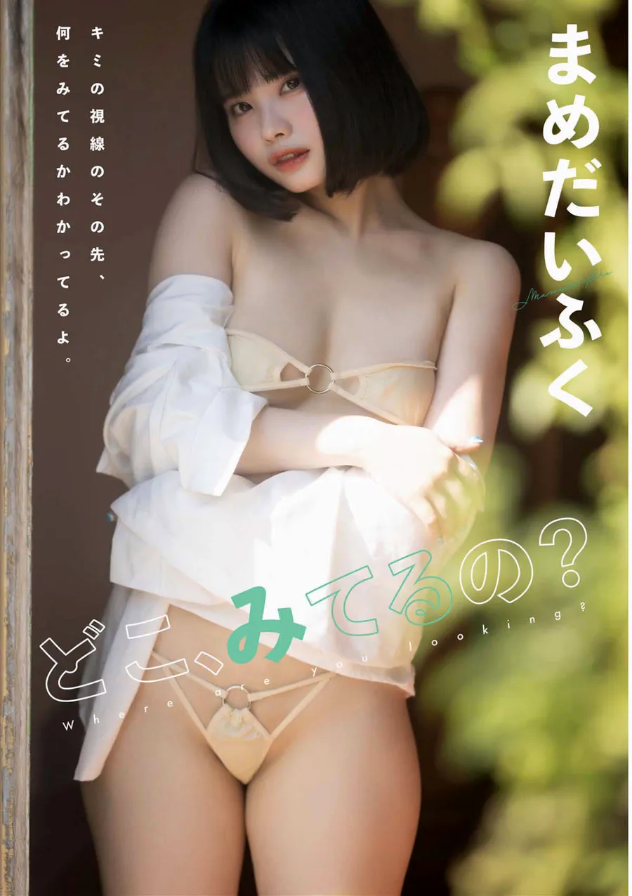 まめだいふく どこ、みてるの？ Photobook-第1张